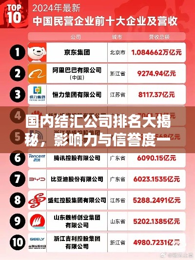 国内结汇公司排名大揭秘,影响力与信誉度一览