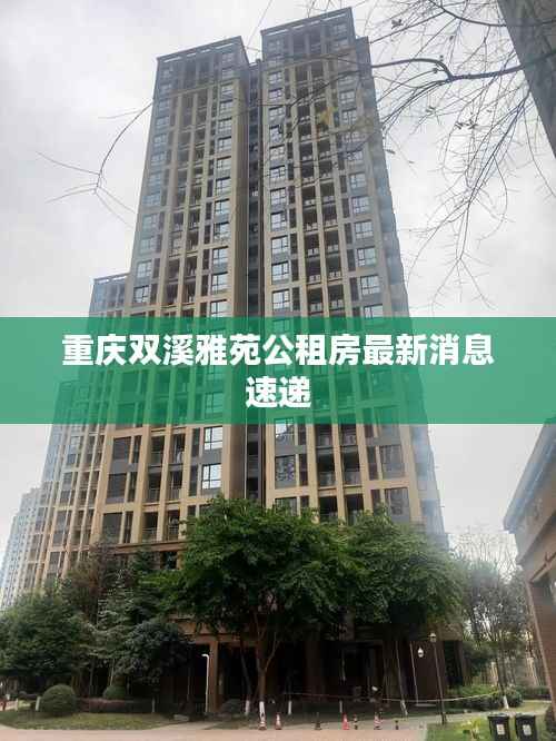 重庆双溪雅苑公租房最新消息速递